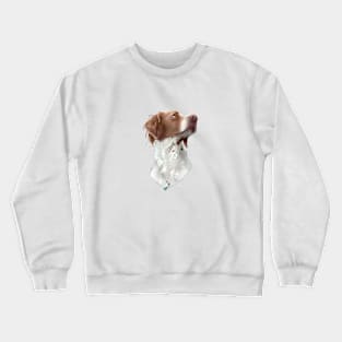 Sierra the Brittany Crewneck Sweatshirt